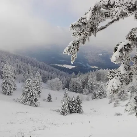 Au De Jo Avec Acces A L'espace Piscine Et Jacuzzi