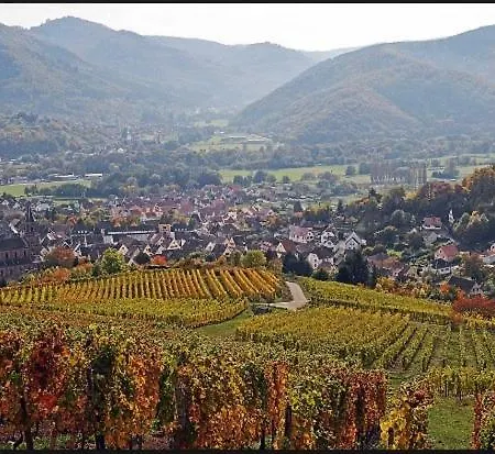 Au De Jo Avec Acces A L'espace Piscine Et Jacuzzi