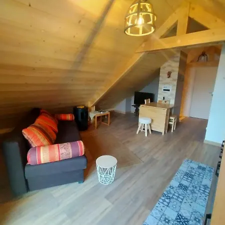 Au De Jo Avec Acces A L'espace Piscine Et Jacuzzi Apartment Muhlbach-sur-Munster