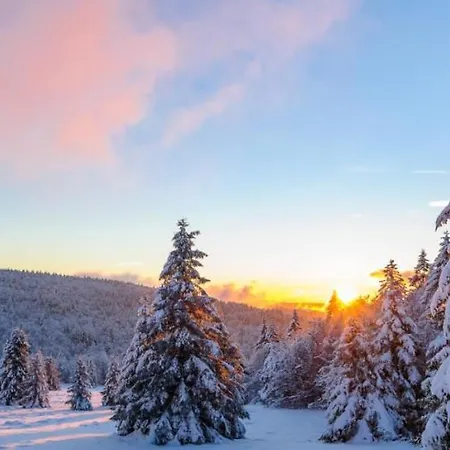 Apartment Au De Jo Avec Acces A L'espace Piscine Et Jacuzzi *